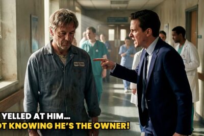 A Billionaire Disguised Himself As A poor Cleaner In His Own Newly built Hospital To find….