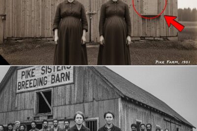 The Pike Sisters Breeding Barn — 37 Men Found Chained in a Breeding Barn