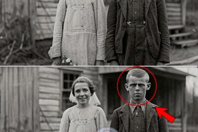 Every Son in the Merrin Family Married His Twin — Until One Ran for His Life