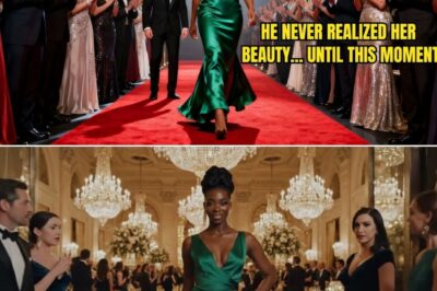 Husband Never Brought Black Wife to Events — Until She Entered Party, He Couldn’t Look Away