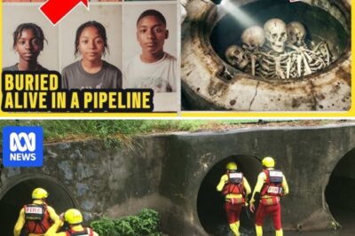 A Plumber Refused to Ignore a Clogged Drain. He Found 6 Missing Students Hidden in the School’s Pipes for 16 Years.