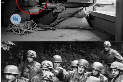 How One Farmer’s “Silo Sniper Nest” Killed 28 German Officers