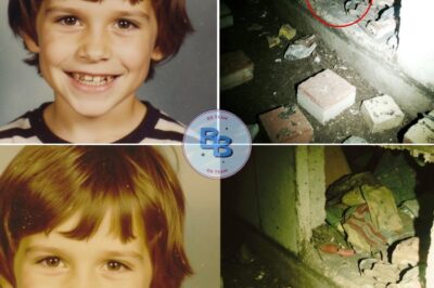 Boy Disappeared in 1982 — 30 Years Later, a Mason Discovers This…