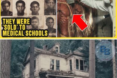 The Stolen Souls of Chattahoochee: How a Park Ranger Found His Missing Grandfather Among 32 Bodies in an Abandoned Basement