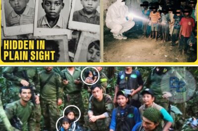 The Watcher in the Basement: How a Disgraced Retired Detective Uncovered Chicago’s Invisible Trafficking Ring and Saved Dozens of Stolen Children