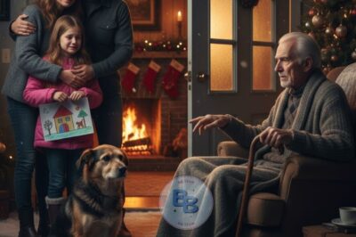 Dying Grandfather Wants the Stray Dog Gone — Until the Night He Opens the Door and His Family Starts to Cry