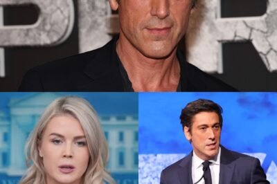 BREAKING: DAVID MUIR READS KAROLINE LEAVITT’S BIO LIVE ON AIR — AND HIS FINAL LINE, “SIT DOWN, BABY GIRL,” JUST SHUT DOWN THE Internet