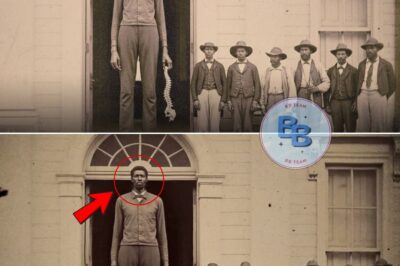 Samson’s Curse: The 7’2 Slave Giant Who Broke 9 Overseers’ Spines Before Turning 25 (Alabama, 1843)