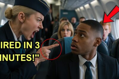 Flight attendant yells at black man over seat assignment, 3 minutes later she’s fired on the spot!