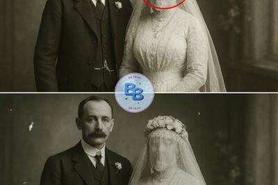 A 1912 Wedding Photo Looked Normal — Until They Zoomed In on the Bride’s Veil