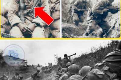 The Ghost of Hill 734: How One Black Sergeant Defied Orders and Held Off an Entire German Company Alone