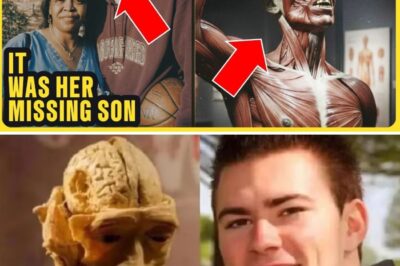 Missing for 25 Years, Found Behind Glass: How a Mother Discovered Her Son on Display in a Museum Exhibition