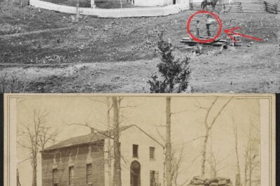 Historical Memories: The Thornberry Children and Sudley Church in the American Civil War