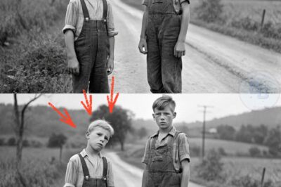 The Lawson Boys Were Found in 1951 — What They Told Investigators Didn’t Match Anything Human