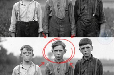 The Briar Creek Boys Were Found in 1958 — What They Told the Sheriff Broke the Case Open