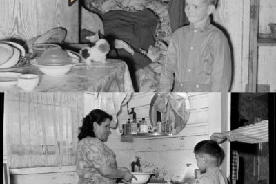 Living with the Harvest: The Blurred Line Between Home and Barn in 1938 Louisiana