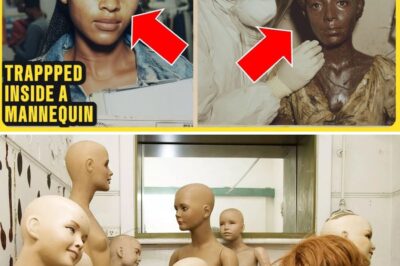 The Mannequin in the Locked Room: How a Missing Model Was Hidden in Plain Sight for 20 Years