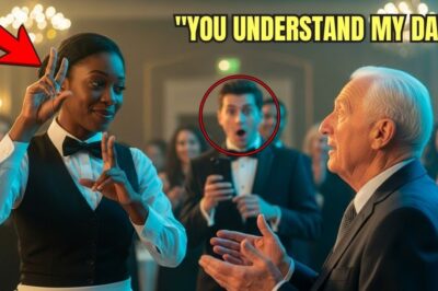 At The Dinner, Nobody Understood Billionaire’s Deaf Father—Until The Black Waitress Greeted In Sign