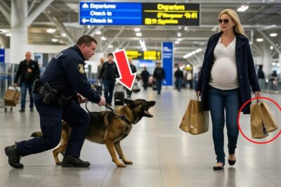 Police Dog Barks Desperately at Pregnant Woman… But When Police Realized the Truth, It Was Too Late!