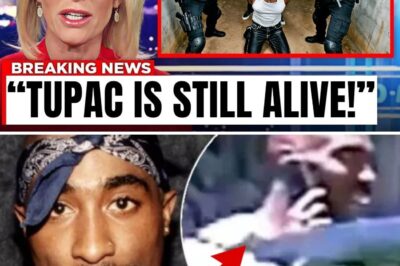 “He Hated Him”: Big Daddy Kane Exposes the Toxic Jealousy and “Ultimate Betrayal” Between Tupac and Jay-Z