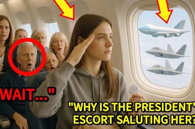 They Mocked Her in 22C — Her Call Sign Made Air Force One Escort Her