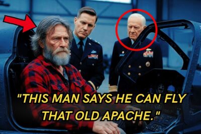 Homeless Veteran Asked to Fly the Apache One Last Time — Until the Admiral Revealed the Truth