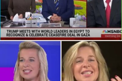 In a jaw-dropping live television showdown that has left Britain reeling, Katie Hopkins launches a ferocious verbal onslaught against Labour leader Keir Starmer, unearthing shocking revelations and branding him as a political puppet trapped in a web of hypocrisy and indecision. As she dismantles his credibility with biting critique on immigration, economic failures, and leadership vacuity, viewers are left questioning the very foundation of his political persona. This explosive confrontation is a must-see moment in political history!