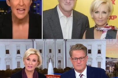 Rumors are swirling inside MSNBC as Rachel Maddow reportedly hits unexpected friction with Joe Scarborough and Mika Brzezinski