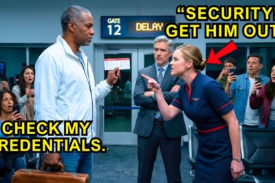 Racist Flight Attendant Accuses Black Passenger — FAA Investigators Show Up Seconds Later