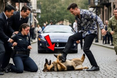 Mafia Son Attacked an Officer and Kicked Her K9 – Until a Navy SEAL Stepped In