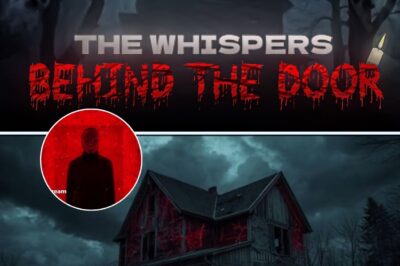 Scary TRUE Horror Stories | The Whispers Behind the Door