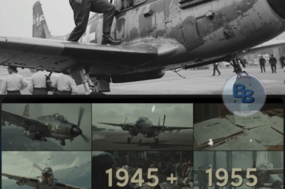 Luftwaffe Pilot Thought His Life Was Over — Americans Let Him Fly Their Planes Instead