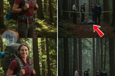 The Hiker Vanished— But a Park Ranger Was Watching Everything From The Ridge