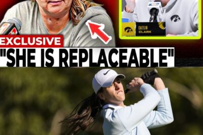 The WNBA Owners’ ‘Replaceable’ Insult: How Arrogance Over Caitlin Clark Is Driving the League Toward a Catastrophic 2026 Lockout and Extinction