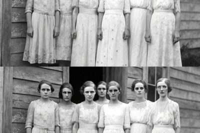 Every Daughter in the Wilkes Family Died on Her Wedding Night — Until One Killed the Groom