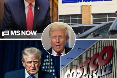 Retail Giant Costco Breaks the Silence: Shock Tariff Lawsuit Exposes Economic Burden and Signals Political Weakness of the Trump Administration