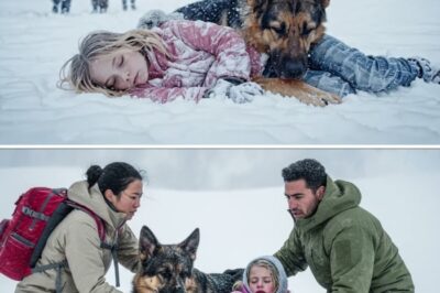Veterans Found a Little Girl and German Shepherd Buried in Snow — Then They Saw What Was Tied to Her