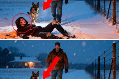 EX NAVY SEAL WAS ALONE FOR YEARS — UNTIL HIS K-9 FOUND A SERIOUSLY INJURED GIRL AT HIS FENCE