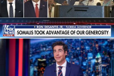 Governor DeSantis Slams Ilhan Omar, Igniting National Debate on Immigration and Assimilation