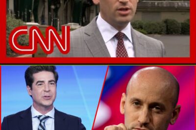 The Coup Doctrine: Stephen Miller Accuses Lawmakers of ‘Seditious Conspiracy’ in Explosive On-Air Firestorm