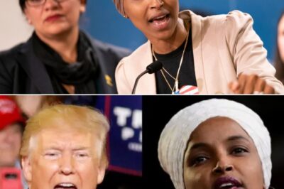 SHOCK SCOOP! Ilhan Omar’s “Declaration of War” to Federal Agents: “Dreaming of Finding Undocumented Somali Migrants Here? Nonsense! It’s a Needle in a Haystack!”