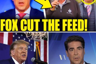 THE EPSTEIN ‘GHOST’ AND THE DISASTROUS TARIFFS PUSH PRESIDENT TRUMP INTO COGNITIVE EPISODE