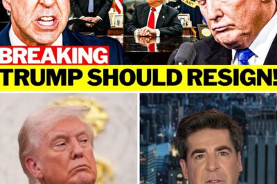 THE DRAMATIC FRACTURE: President Trump ‘Outclassed’ by Socialist Mamdani Amid MAGA Meltdown