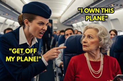 Flight Attendant Slaps Passenger — Then She Makes One Call — $960M Freezes, 5 Airports Cut Ties