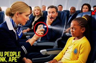 Flight Attendant SPRAYS Black Girl In First Class for “Smelling Bad”—What Happened SHOCKED Everyone!