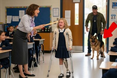 A Veteran and His Dog Came to Pick Up His Disabled Daughter — What He Saw Inside Was Horrifying