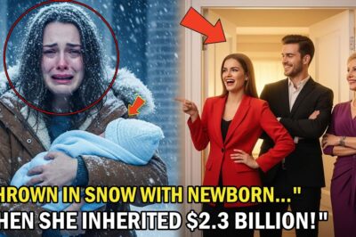 “Unaware His Wife Had Just Inherited a Billion-Dollar Empire, Her In-Laws and Mistress Threw Her….