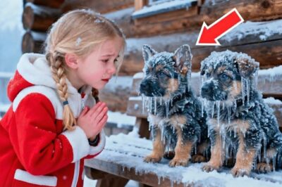 Little Girl Brought Two Freezing Dogs Inside — The Next Morning, Police Surrounded Her House!