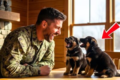 You Won’t Believe What These Two Puppies Said to a Navy SEAL — His Reaction Melted Everyone’s Heart!
