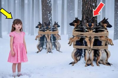 Little Girl Found 15 German Shepherds Hanging in the Frozen Woods — Truth Behind It Shocks Everyone!